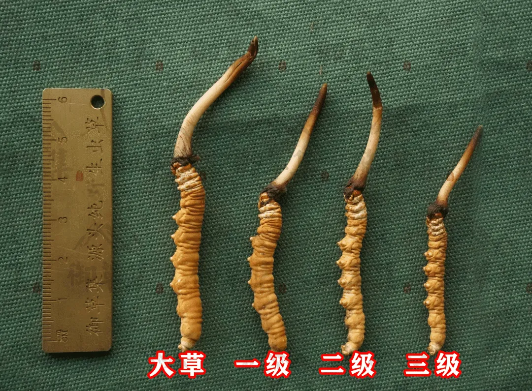 反诈警示图片