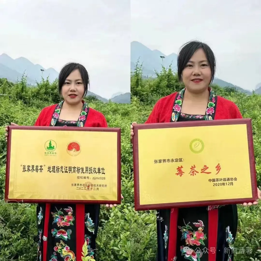 反诈警示图片
